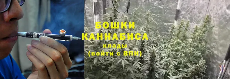 KRAKEN ТОР  закладка  Камышин  площадка какой сайт  Бошки марихуана OG Kush 